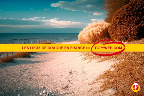 Lieux De Drague Fr