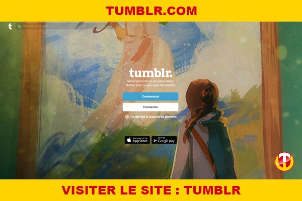 Site internet : Tumblr